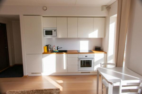 Quiet & Modern Downtown 1BR, near Bus Station & Airport
